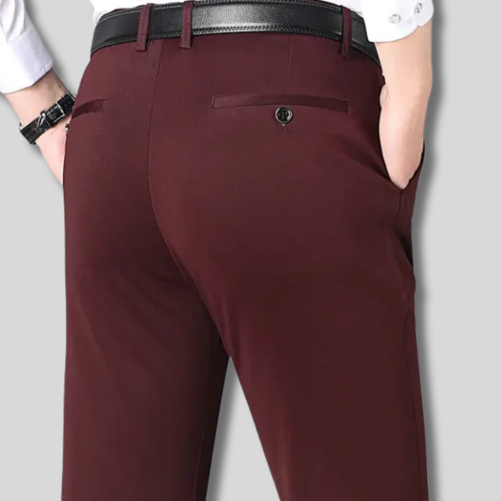 Alwes | Stretch Pants For Men